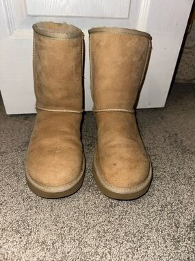 Women’s sand color short Uggs